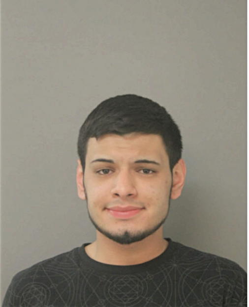 DIEGO LUNA, Cook County, Illinois