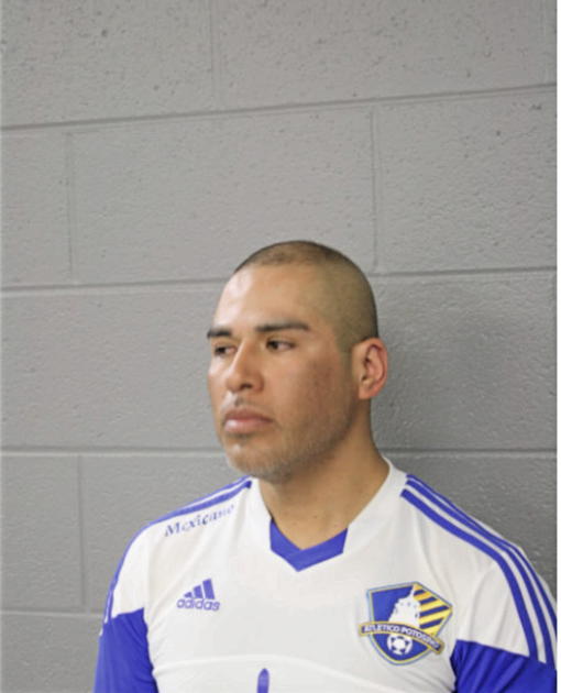 ANSELMO MARTINEZ, Cook County, Illinois