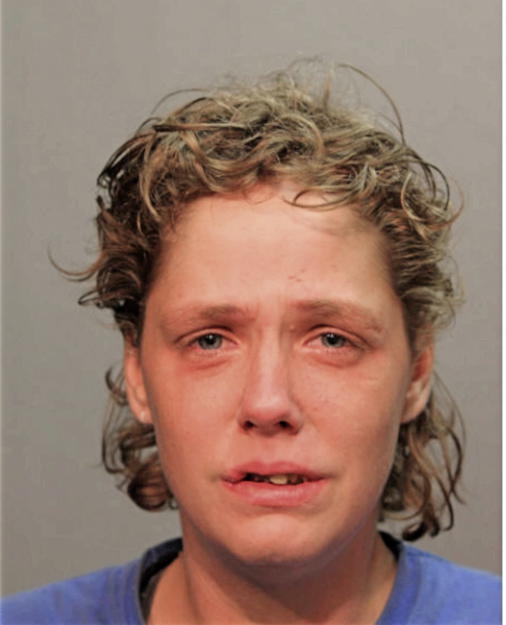 CRYSTAL M MIKKELSON, Cook County, Illinois