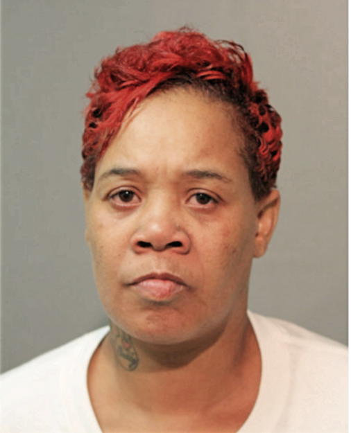 KALENA F MISHER, Cook County, Illinois