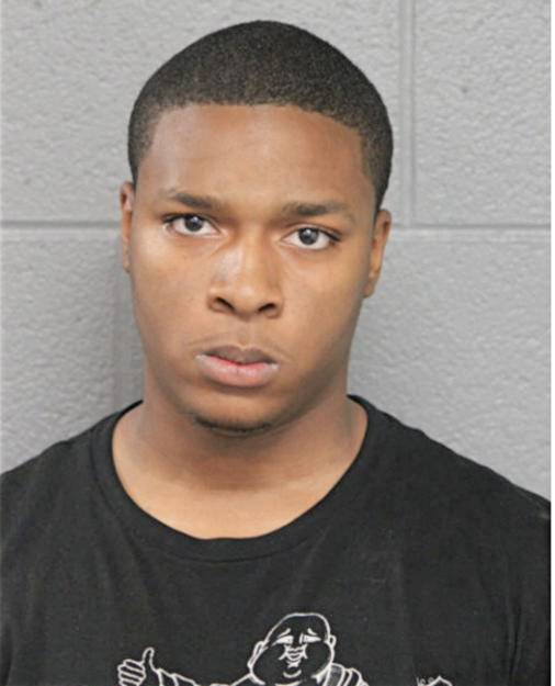 DAVID L NICHOLSON, Cook County, Illinois