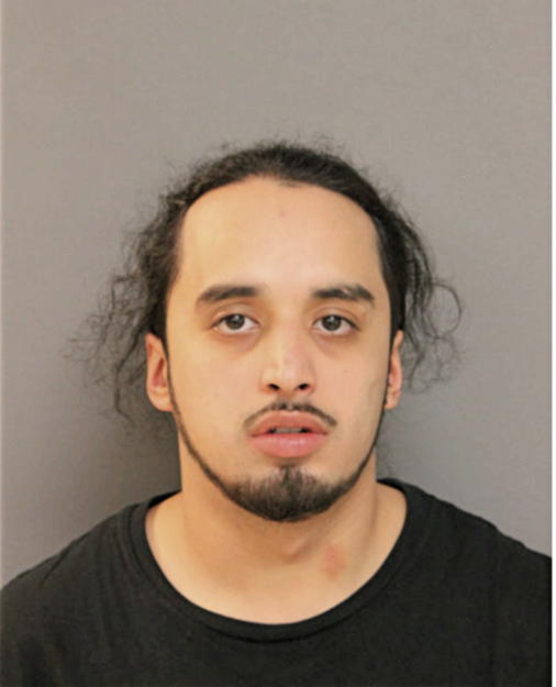 DANIEL J NUNEZ, Cook County, Illinois