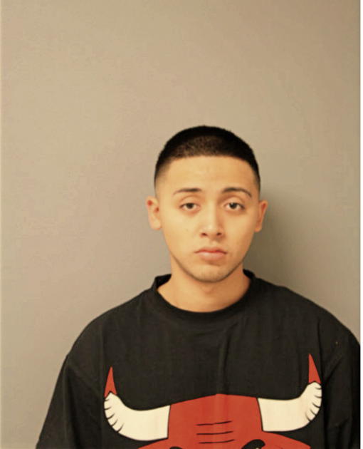 ORLANDO RUIZ, Cook County, Illinois