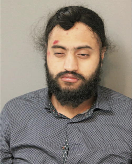 HARMAN SINGH, Cook County, Illinois