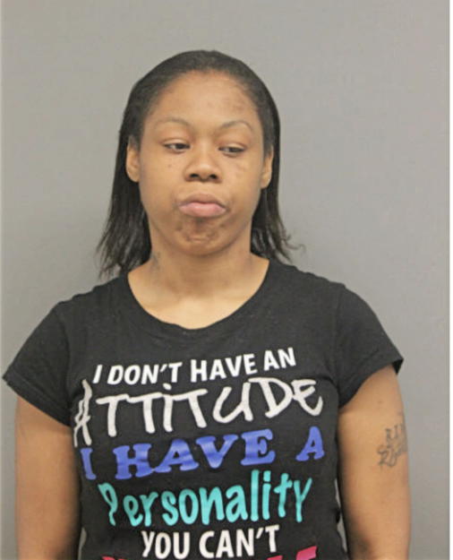NINA B WILLIAMS, Cook County, Illinois