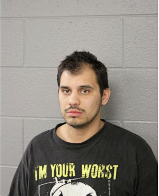 MIGUEL A JUAREZ, Cook County, Illinois