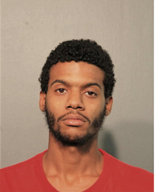 MICHEAL L ALLEN, Cook County, Illinois