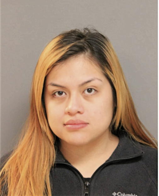 MELANIE A ANTUNEZ, Cook County, Illinois