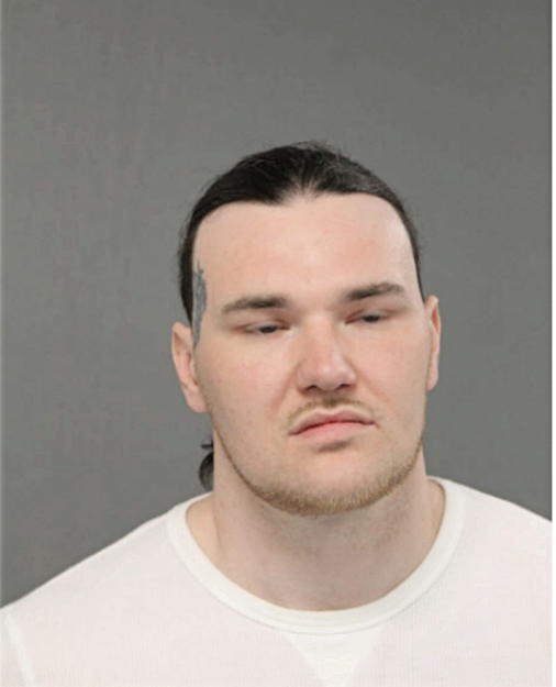 ADAM A AVIZIUS, Cook County, Illinois