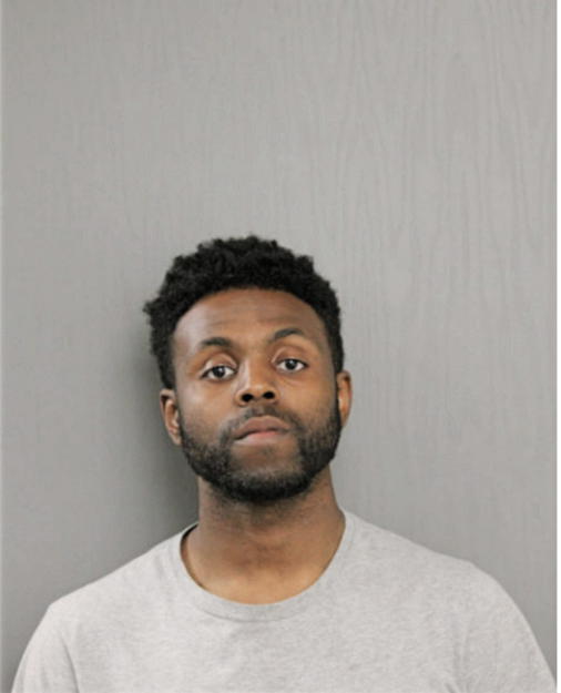 BRANDON M BREWSTER, Cook County, Illinois