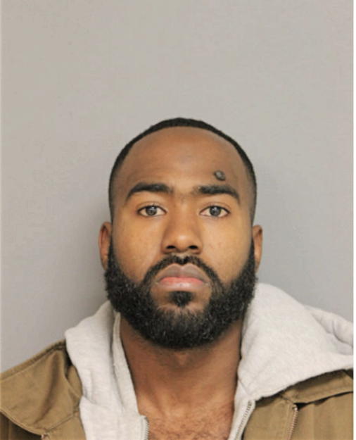 JOHNATHAN R BRUNT, Cook County, Illinois