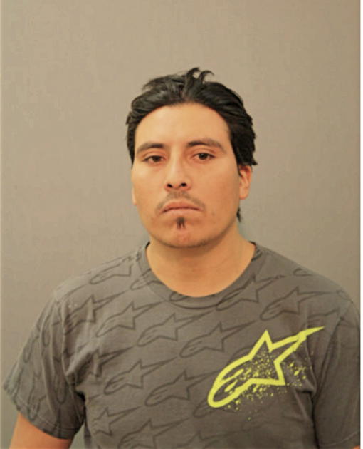 LUIS CHILEL, Cook County, Illinois