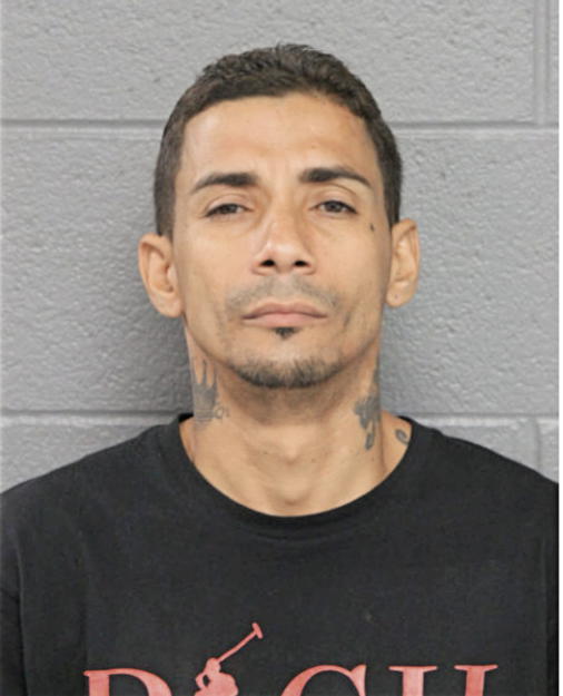 LUIS ANDRES CRUZ-VENDRELL, Cook County, Illinois