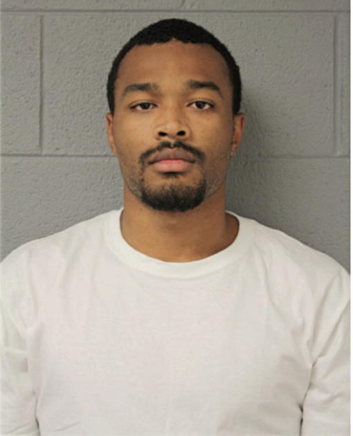 CHRISTOPHER A DALTON, Cook County, Illinois