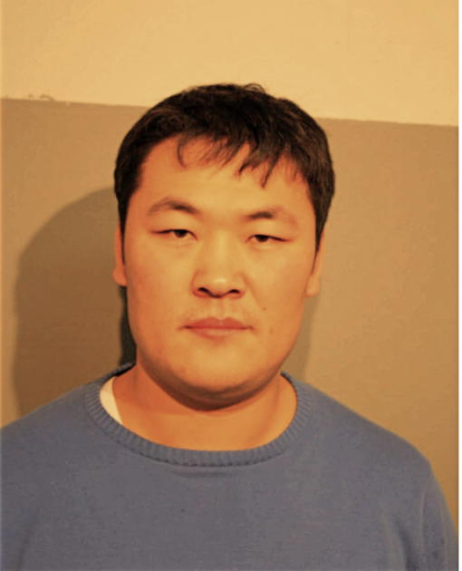 ARIUNTAMIR DAVAASUREN, Cook County, Illinois
