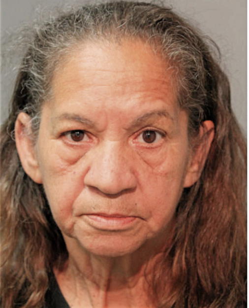 CARMEN FERNANDEZ, Cook County, Illinois