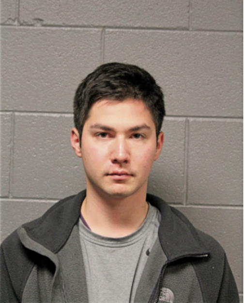 SEAN T FRUMKIN, Cook County, Illinois