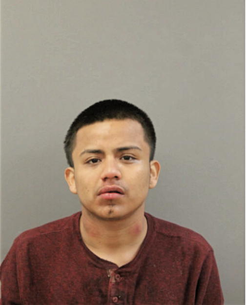 LUIS E HERRERA, Cook County, Illinois