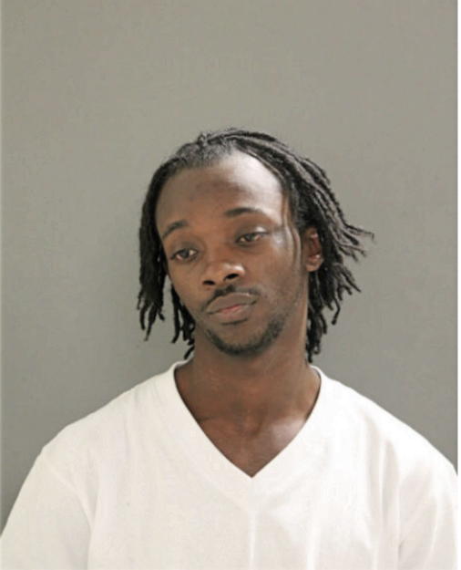 MICHAEL L JOHNSON, Cook County, Illinois