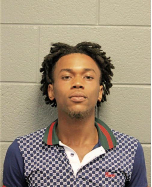 RONALD JOHNSON, Cook County, Illinois