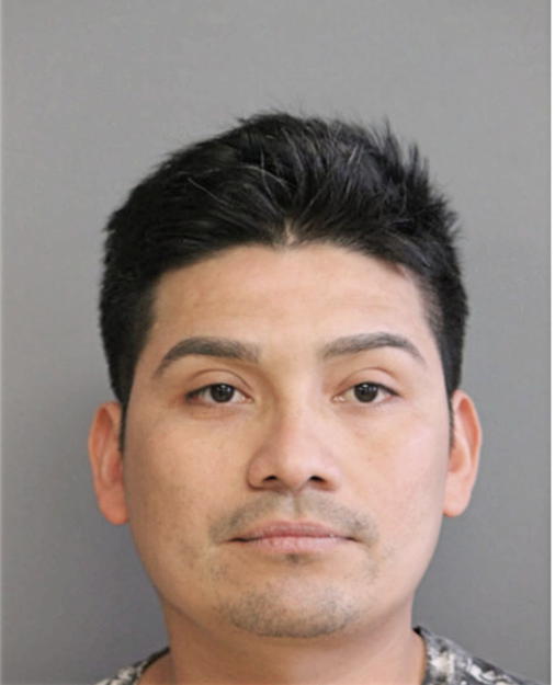 IRVIN DE LOS SANTOS-MARTINEZ, Cook County, Illinois