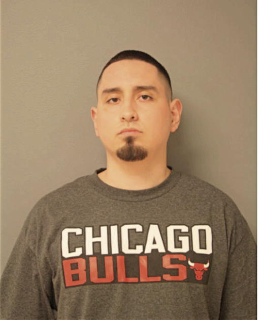 LUIS M QUINTANA, Cook County, Illinois