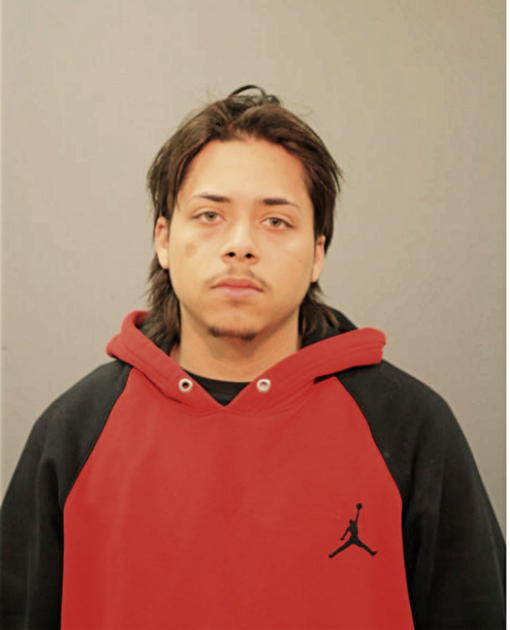 LUIS E MEDINA, Cook County, Illinois