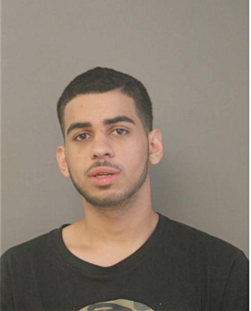GIOVANNI D PETROV, Cook County, Illinois