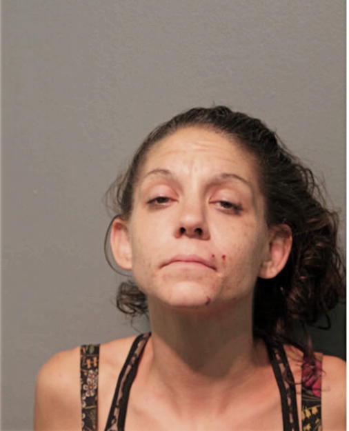 BRITTNEY M RUSSELL, Cook County, Illinois