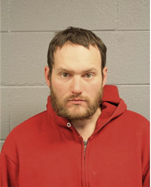 JASON S SWANSON, Cook County, Illinois