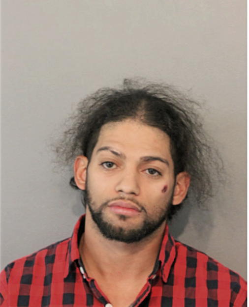 RAUL J TIJERINA, Cook County, Illinois