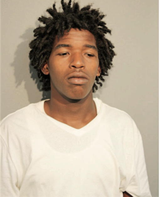 LIONEL D UZONO SAINT VIL, Cook County, Illinois