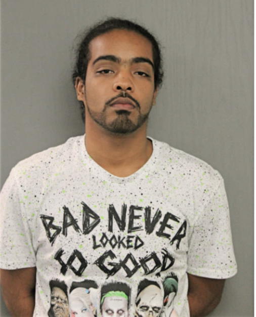 JAMES M WILLIAMS, Cook County, Illinois