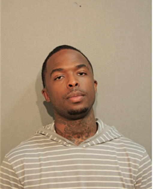 JEREMY M BROWN, Cook County, Illinois
