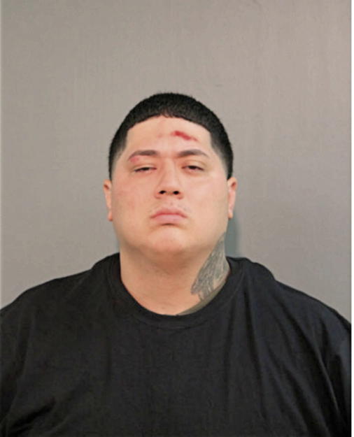 JOSE CASTILLO, Cook County, Illinois