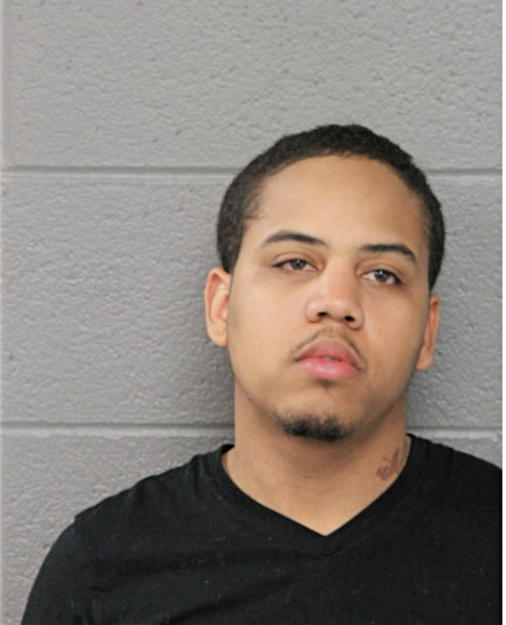 STEVEN A D AGEE, Cook County, Illinois