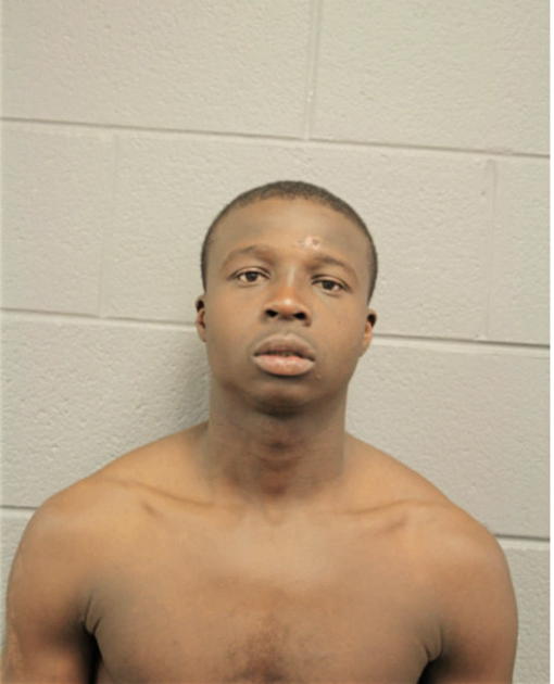 LOUIS E DAVIS, Cook County, Illinois
