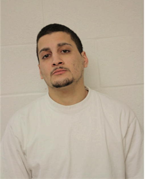 ANDRE L GONZALEZ, Cook County, Illinois