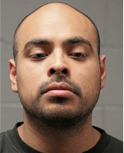 ENRIQUE MENA GUZMAN, Cook County, Illinois