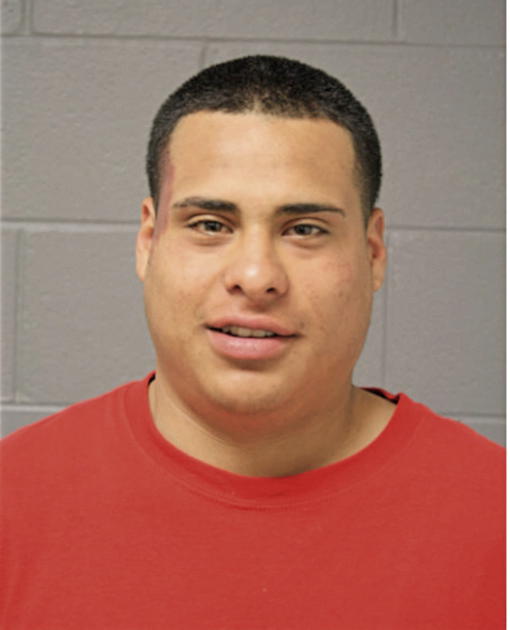 JONATHAN B GUZMAN, Cook County, Illinois