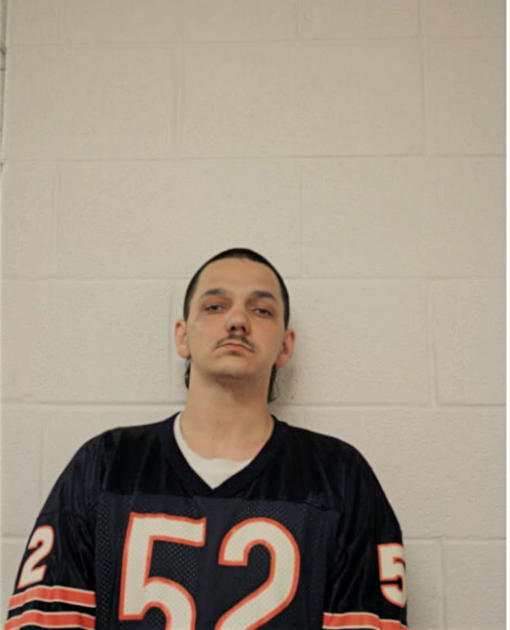 BRIAN J HAMILTON, Cook County, Illinois