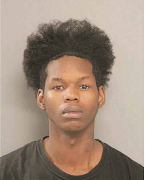 MICHAEL T HICKEY, Cook County, Illinois