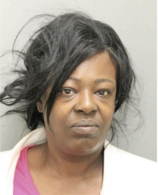 MARY E JONES, Cook County, Illinois