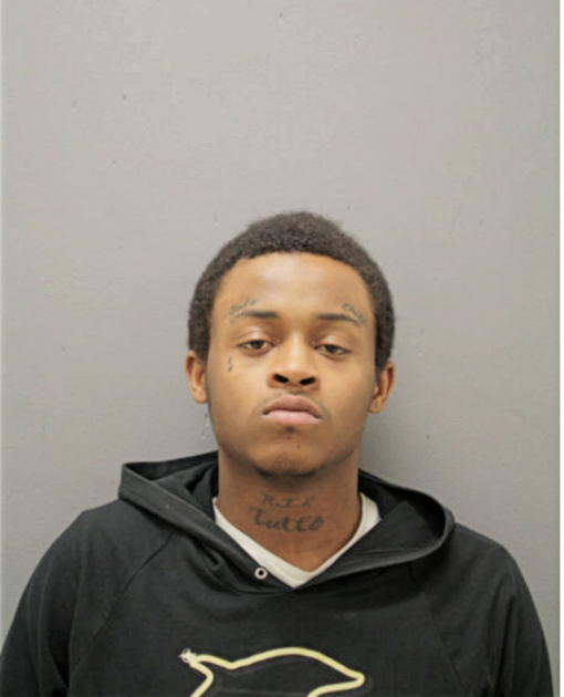 LAMAR M KELLOGG, Cook County, Illinois