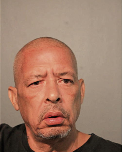 VICENT L KING, Cook County, Illinois