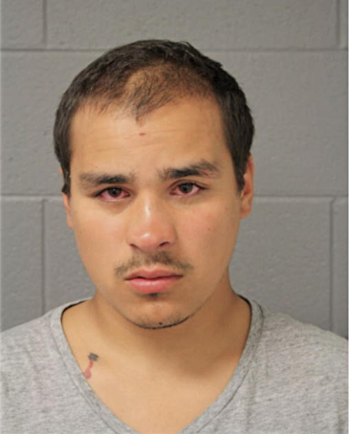 MICHAEL A KUBAS, Cook County, Illinois