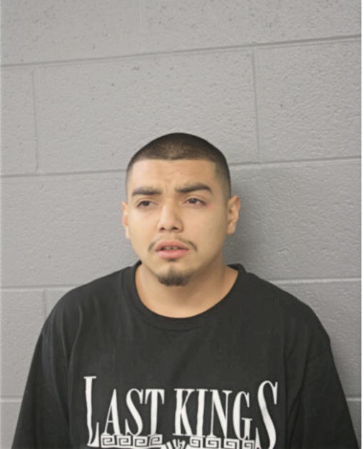 LUIS S LEON, Cook County, Illinois