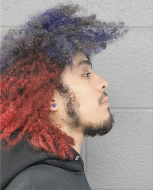 HUMBERTO G MARTINEZ, Cook County, Illinois