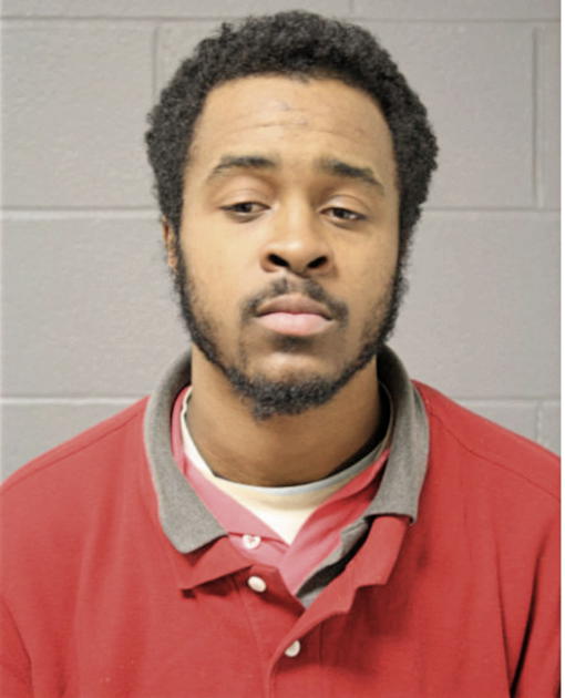 ALLEN L MCKINZIE, Cook County, Illinois