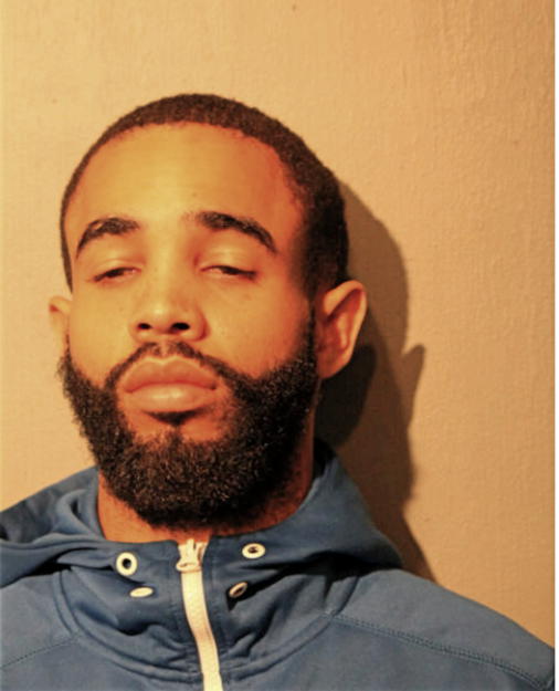 JAMEL K NELSON, Cook County, Illinois